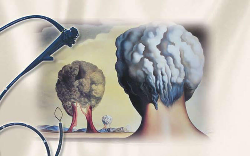 6 ekpaideftiki diimerida